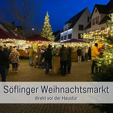 Staywest52 - Balkon, Wlan, Parkplatz 公寓 乌尔姆